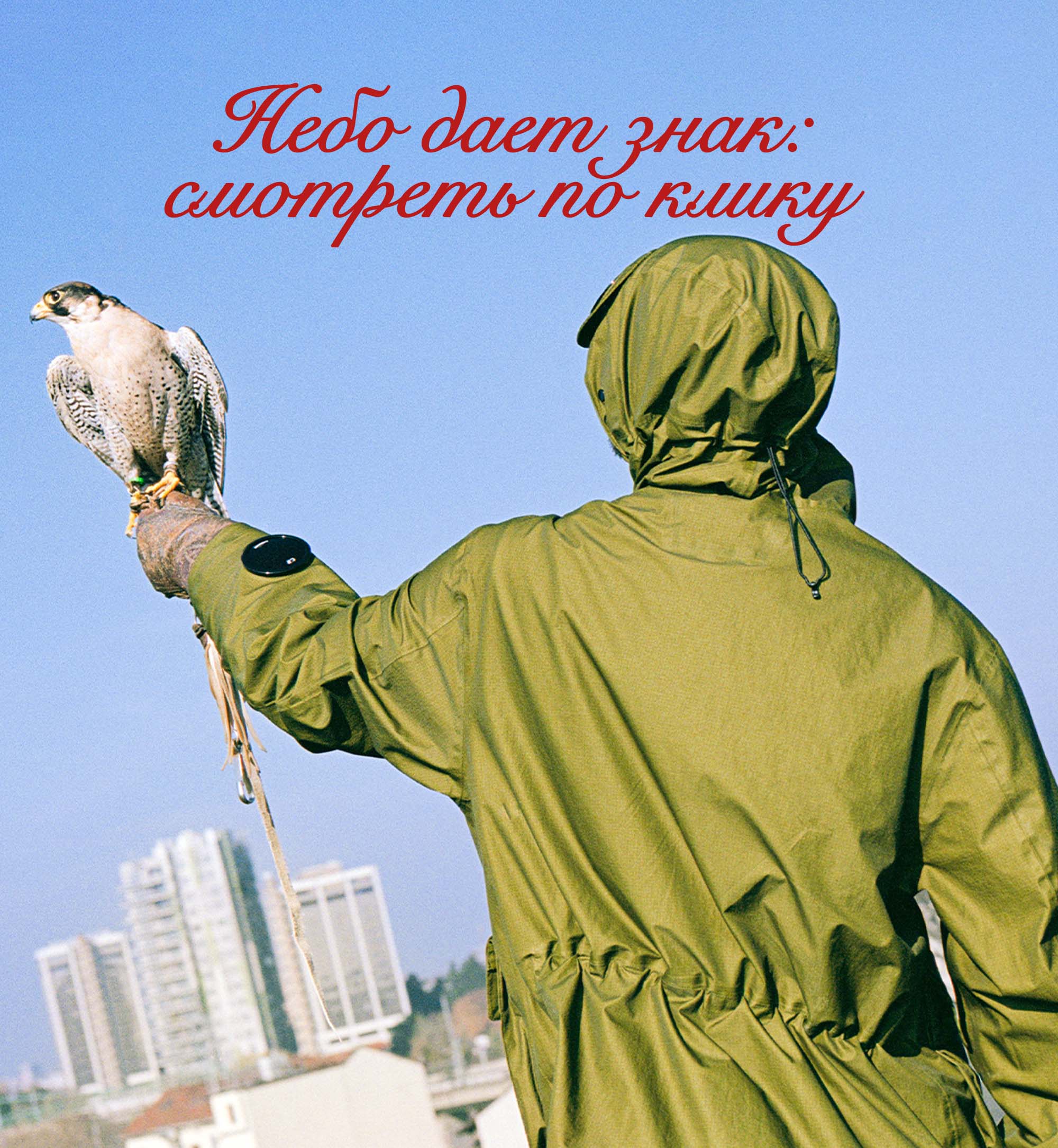 NEW главный
