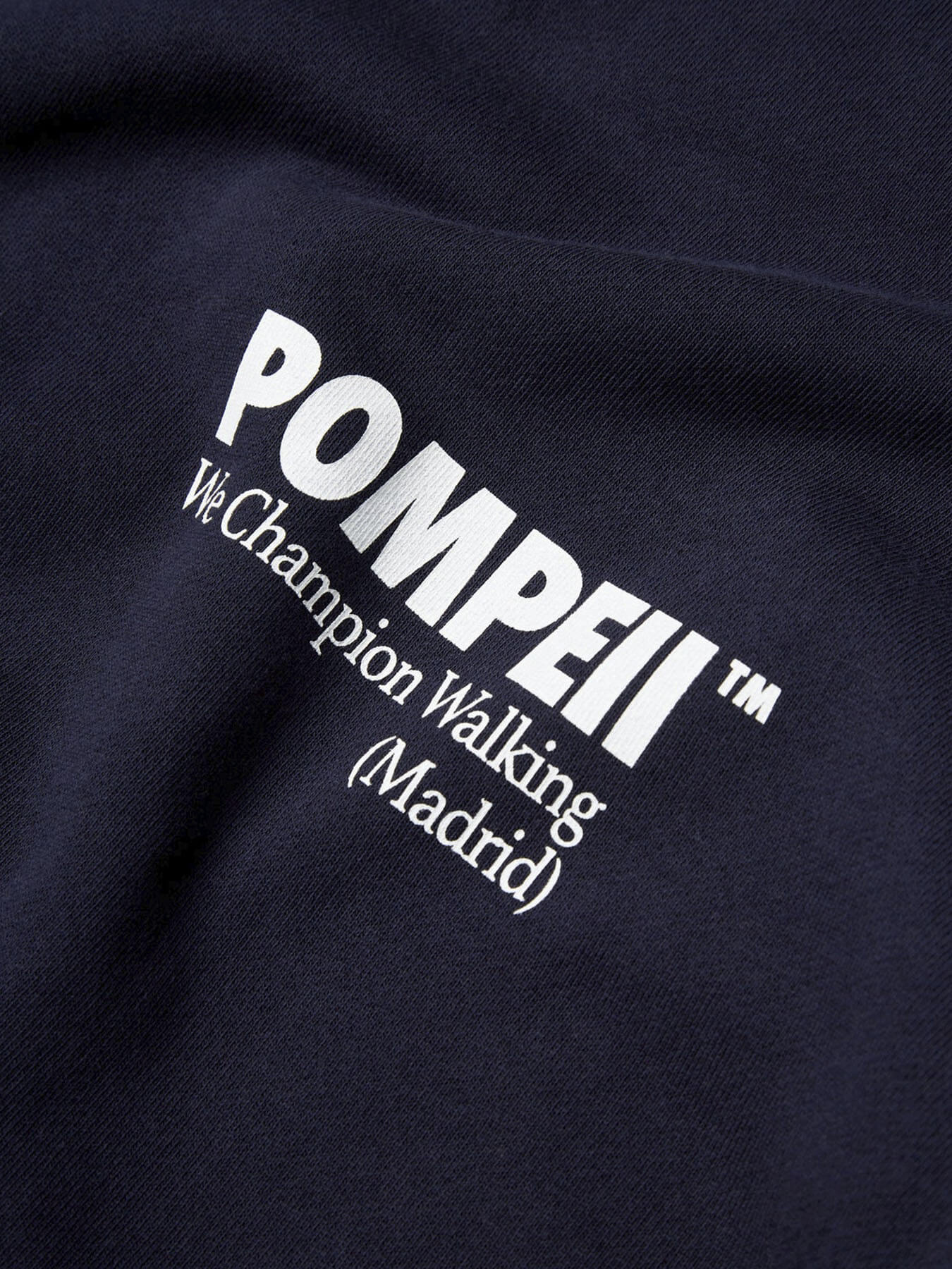 Свитшот POMPEII