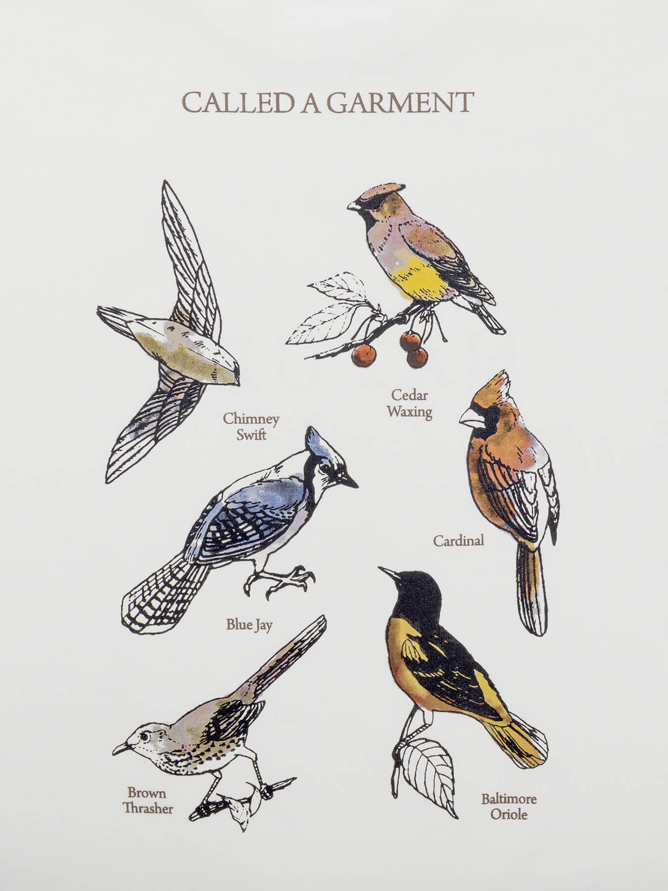 Футболка BIRDS