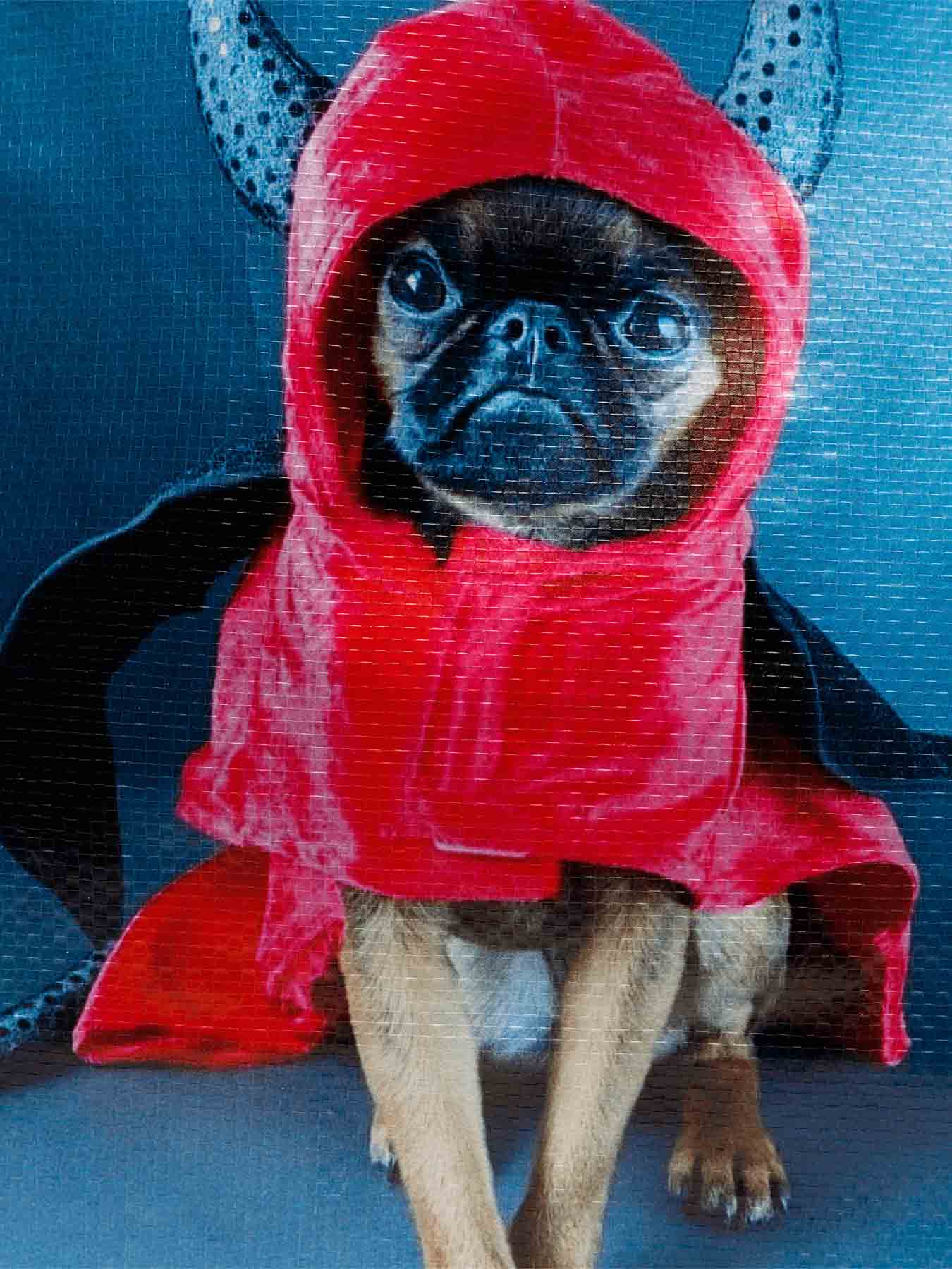 Сумка THE DOG IN PINK SUIT