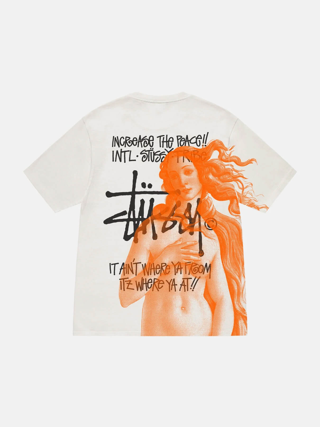 Футболка IST VENUS PIG. DYED