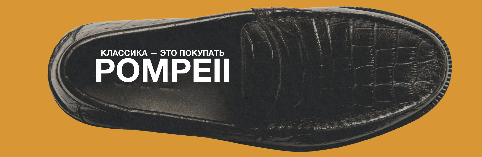 NEW главный
