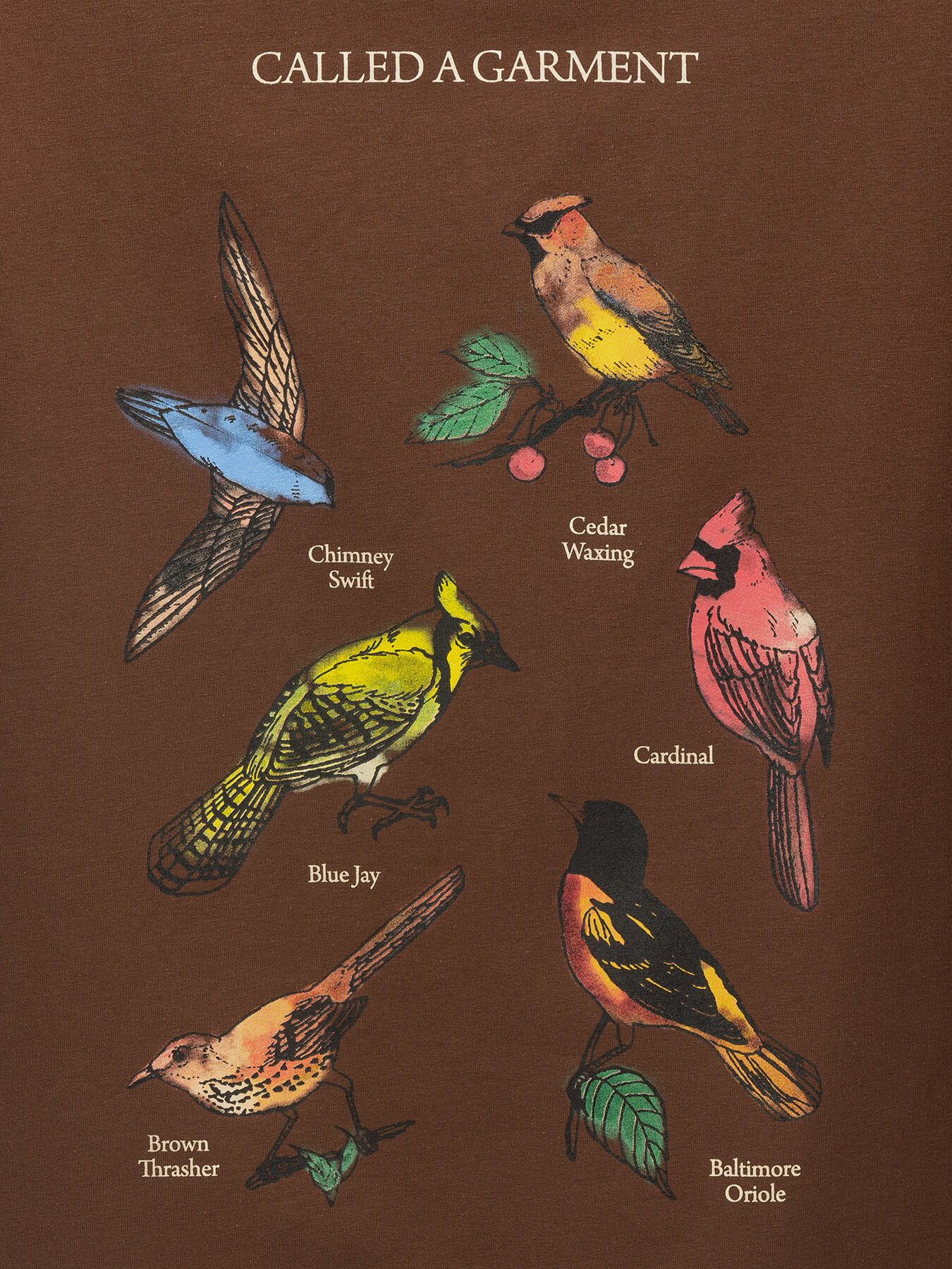Футболка Birds