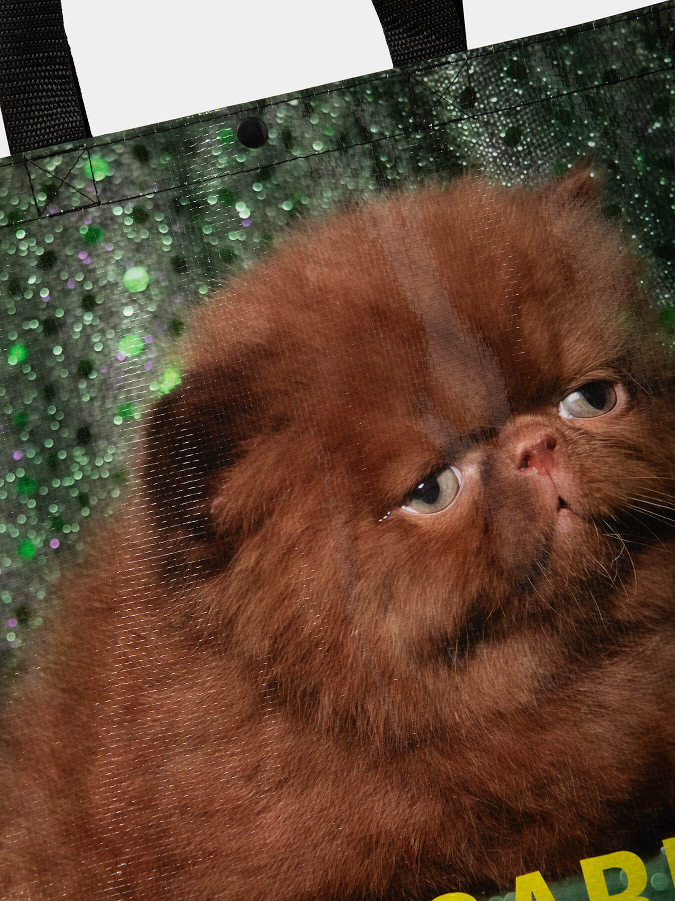 Сумка Недовольная кошка