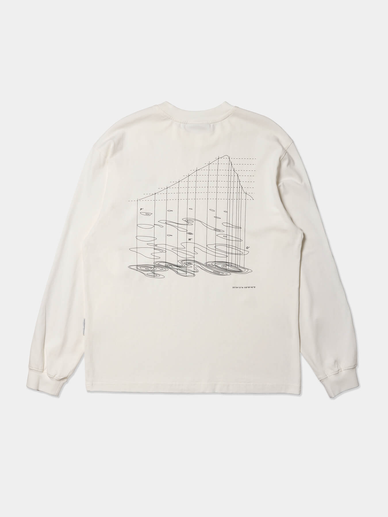 Лонгслив MAP PROJECTION