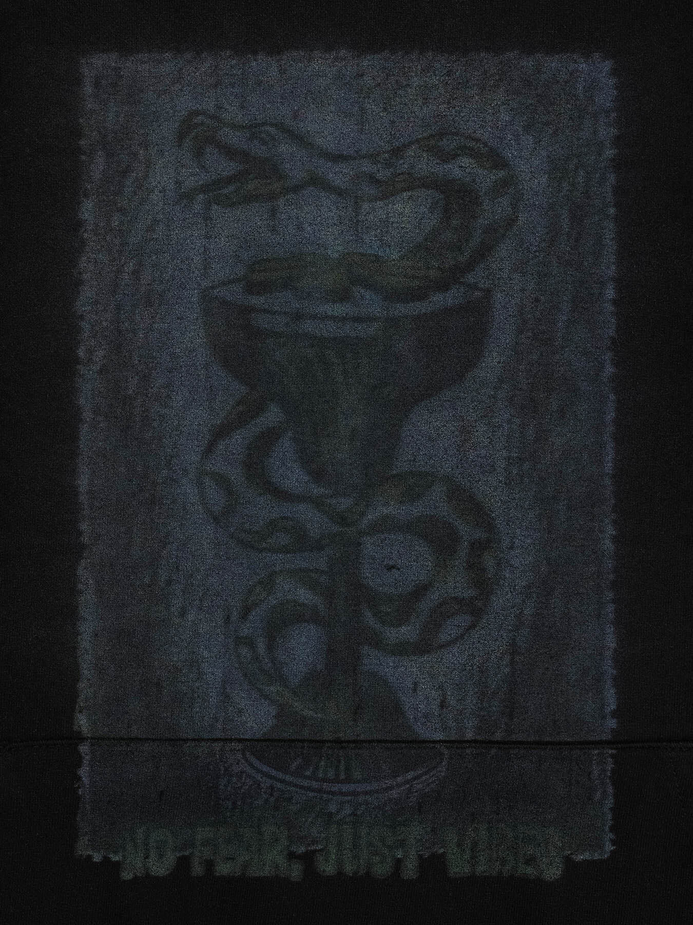 Худи SNAKE PRINT SHIRT LAYERED