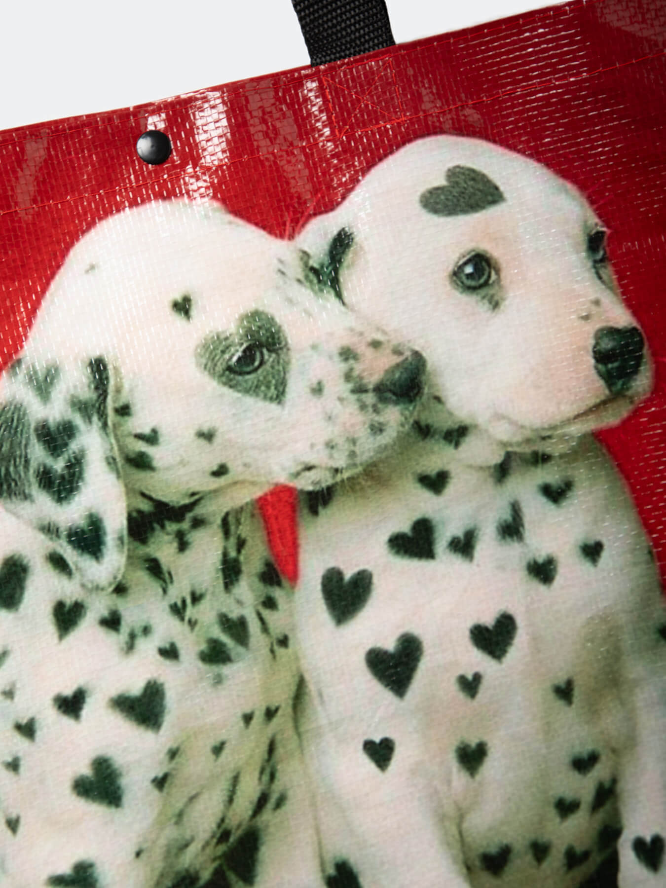 Сумка Любящие далматинцы