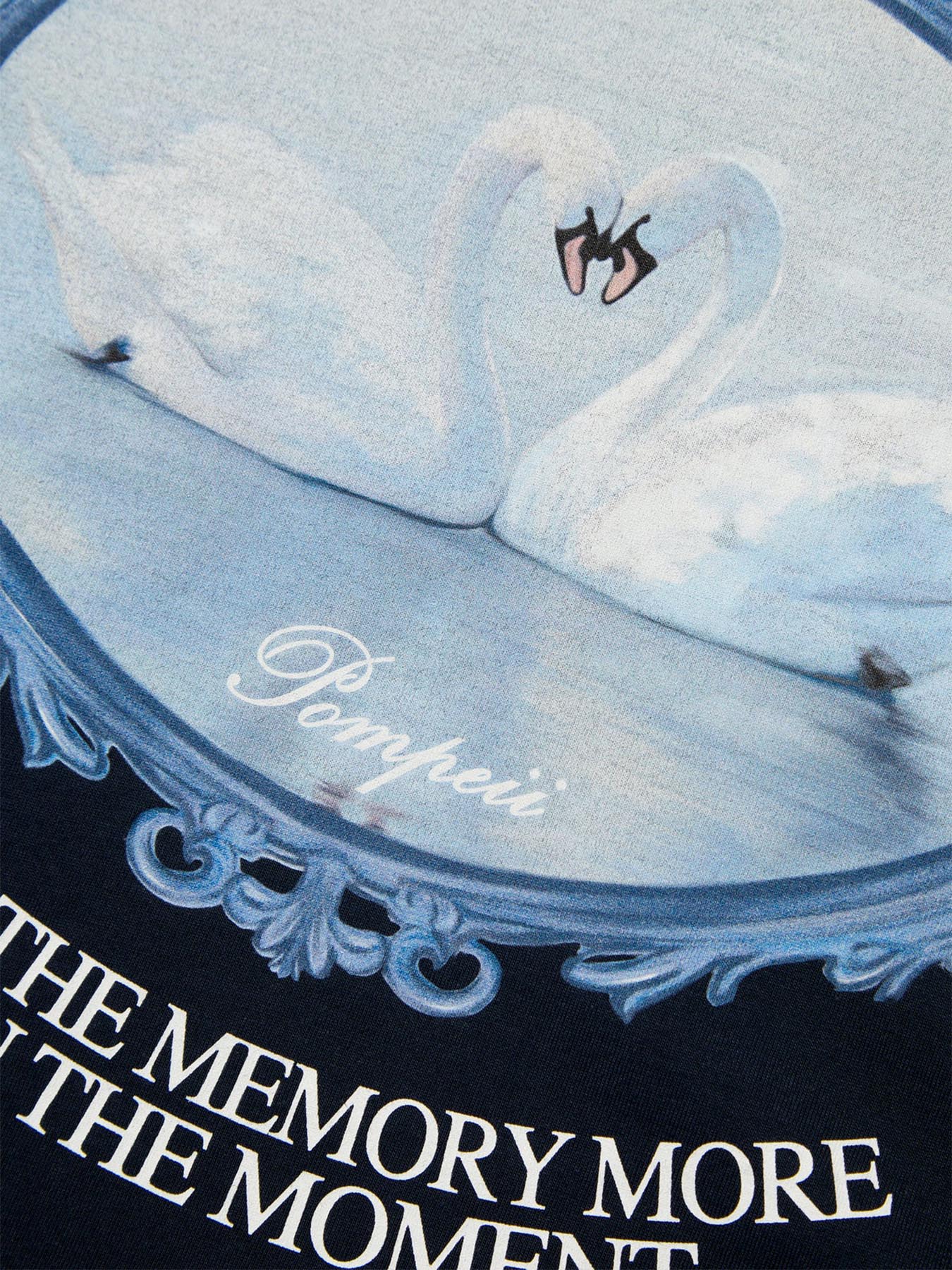 Футболка SWANS
