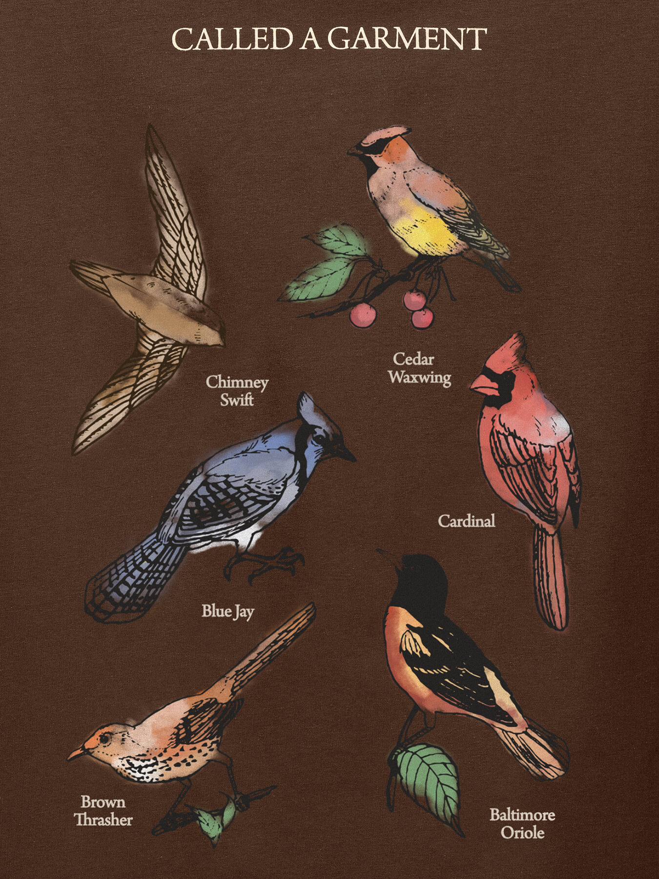 Футболка BIRDS