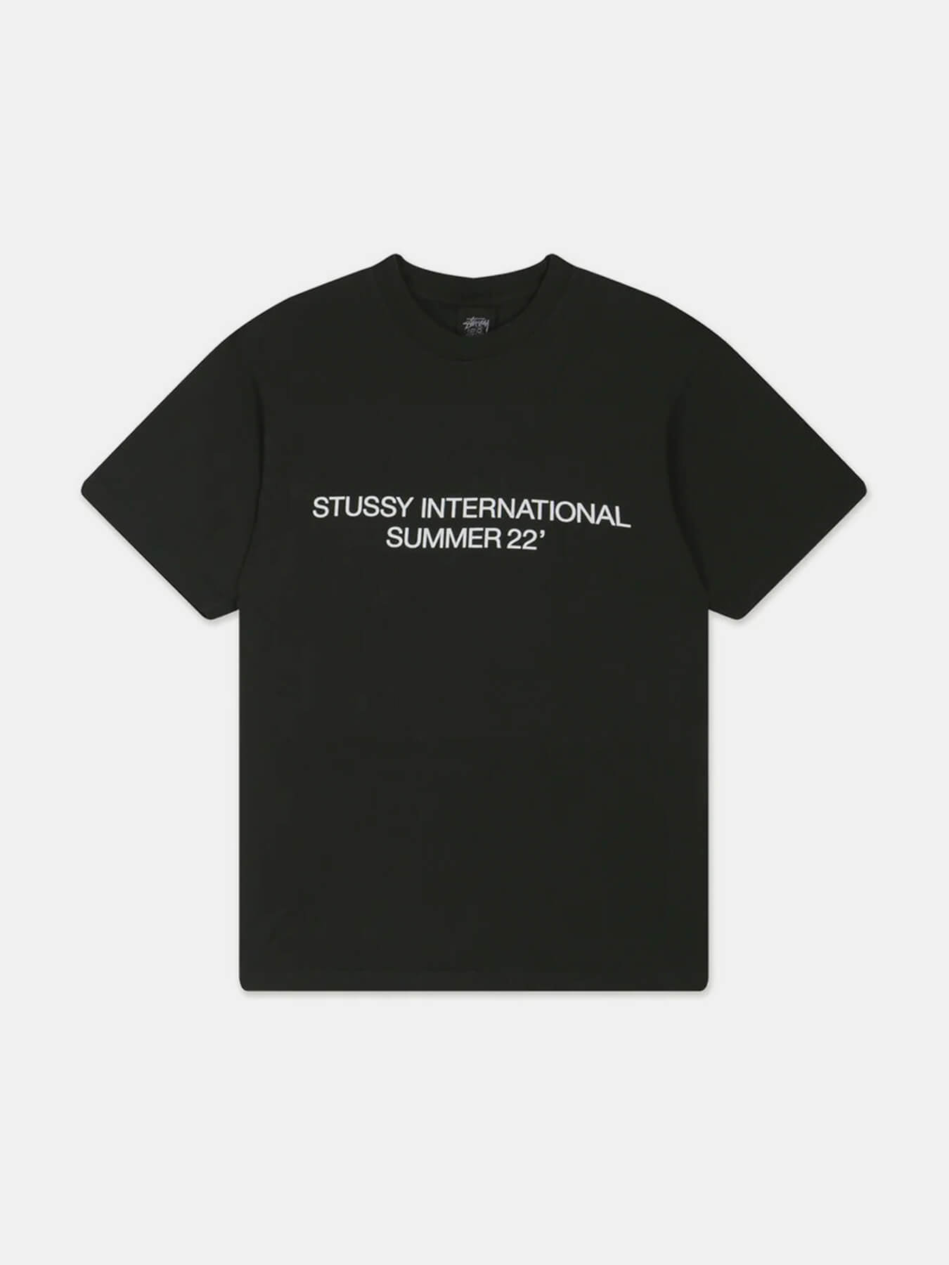 Футболка INTERNATIONAL 22' PIG DYED