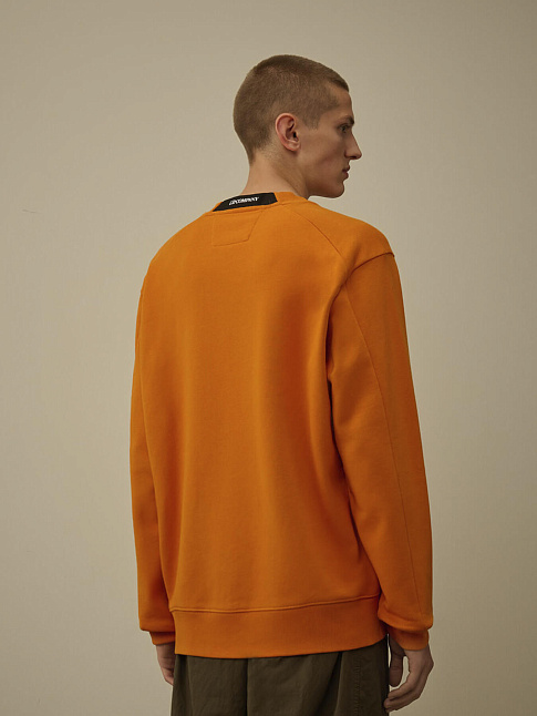 Свитшот DIAGONAL RAISED FLEECE LENS (размер L, цвет 434)