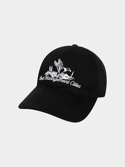 Кепка EAGLE 6PANEL (размер one size, цвет Черный)