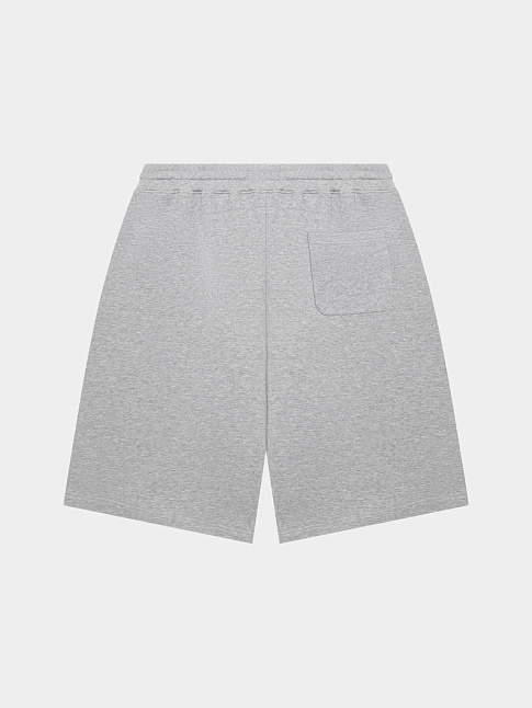 Шорты SHORTS 99 (размер L, цвет Серый)