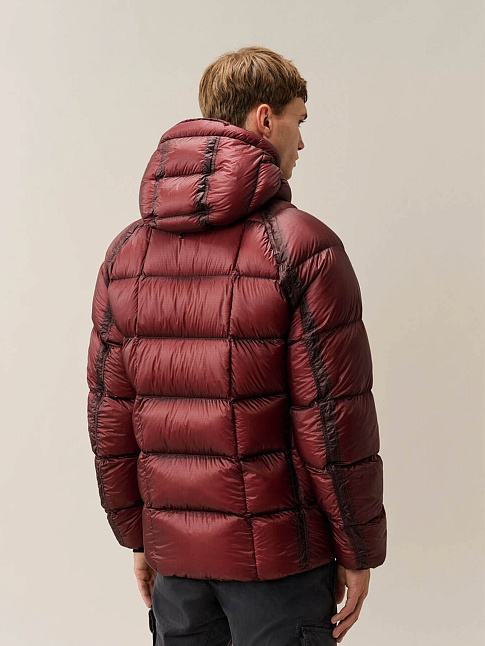 Пуховик D.D. SHELL HOODED PUFFER (размер L, цвет 592)
