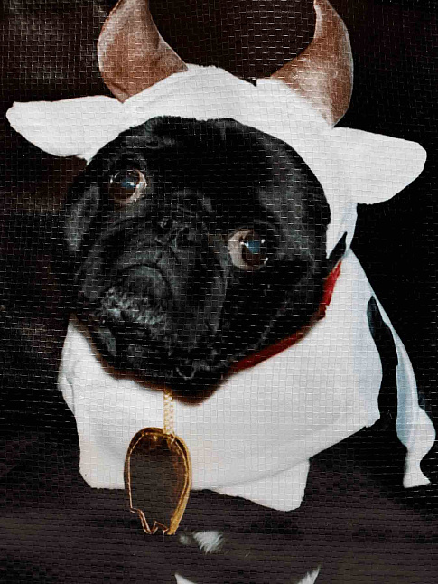 Сумка DEVIL PUG (размер one size, цвет Разноцветный)