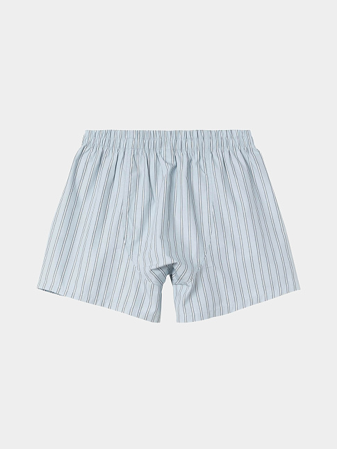 Боксеры (размер XL, цвет Голубой)