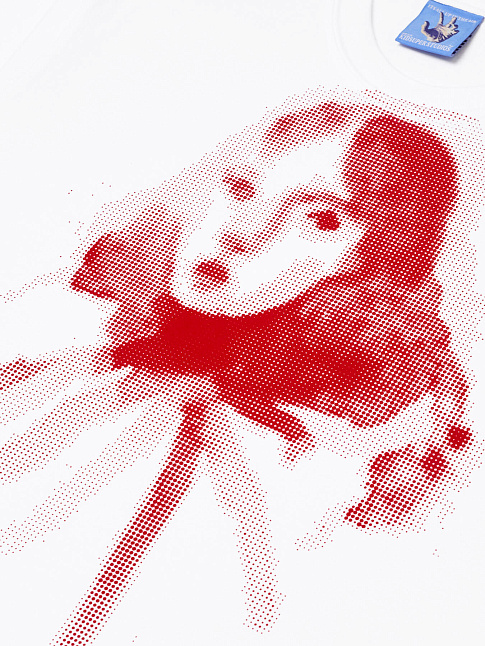 Футболка HALFTONE GIRL (размер XXL, цвет Белый)