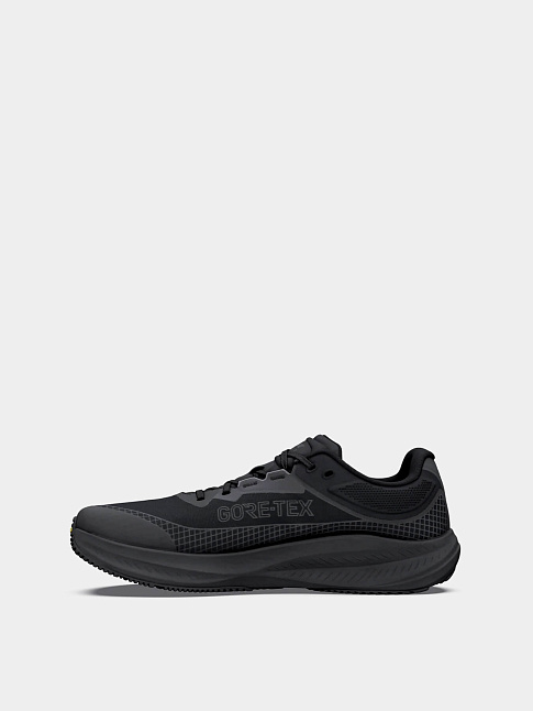Кроссовки TORIN 9 GTX (размер 40, цвет Черный)