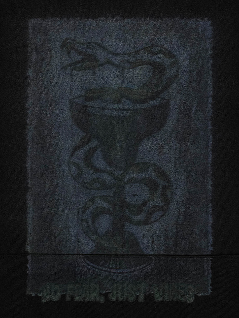 Худи SNAKE PRINT SHIRT LAYERED (размер M, цвет Черный)