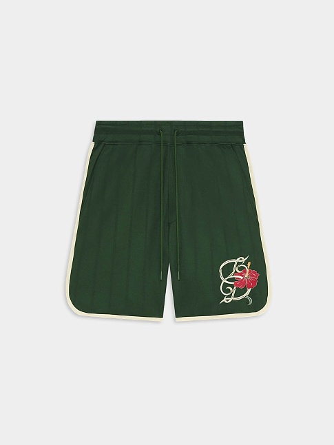 Шорты D HIBISCUS (размер XXL, цвет Зеленый)